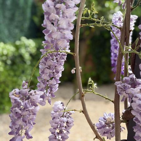 Bakea Apto Con Jardin Privado Бакіо Екстер'єр фото