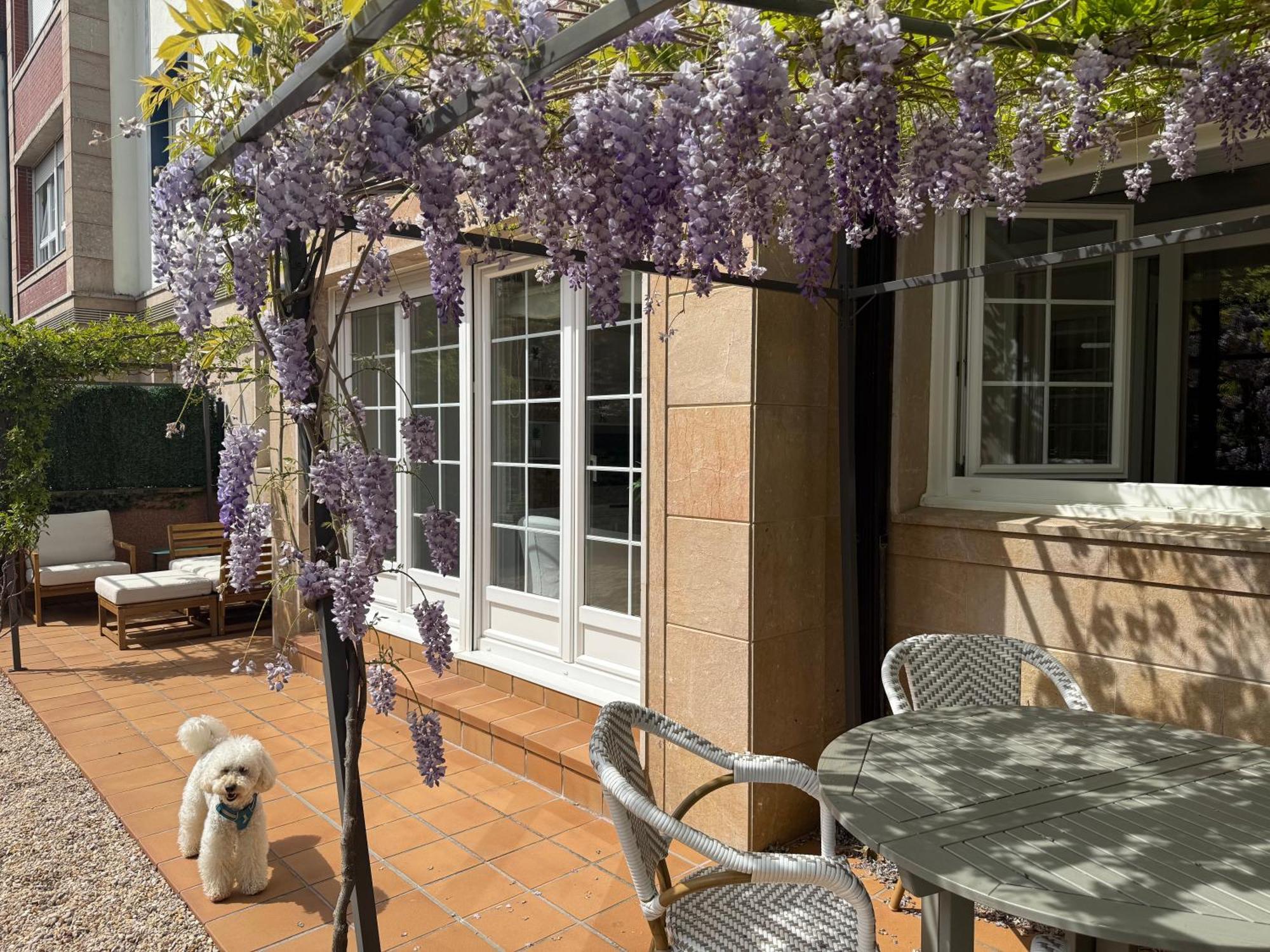 Bakea Apto Con Jardin Privado Бакіо Екстер'єр фото